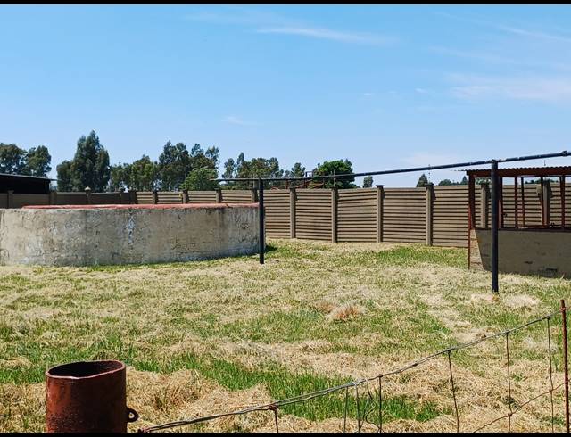 4 BEDROOM HOUSE TO LET IN NELSONIA